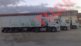  55 m CHEST TYPE TIPPER SEMI TRAILER